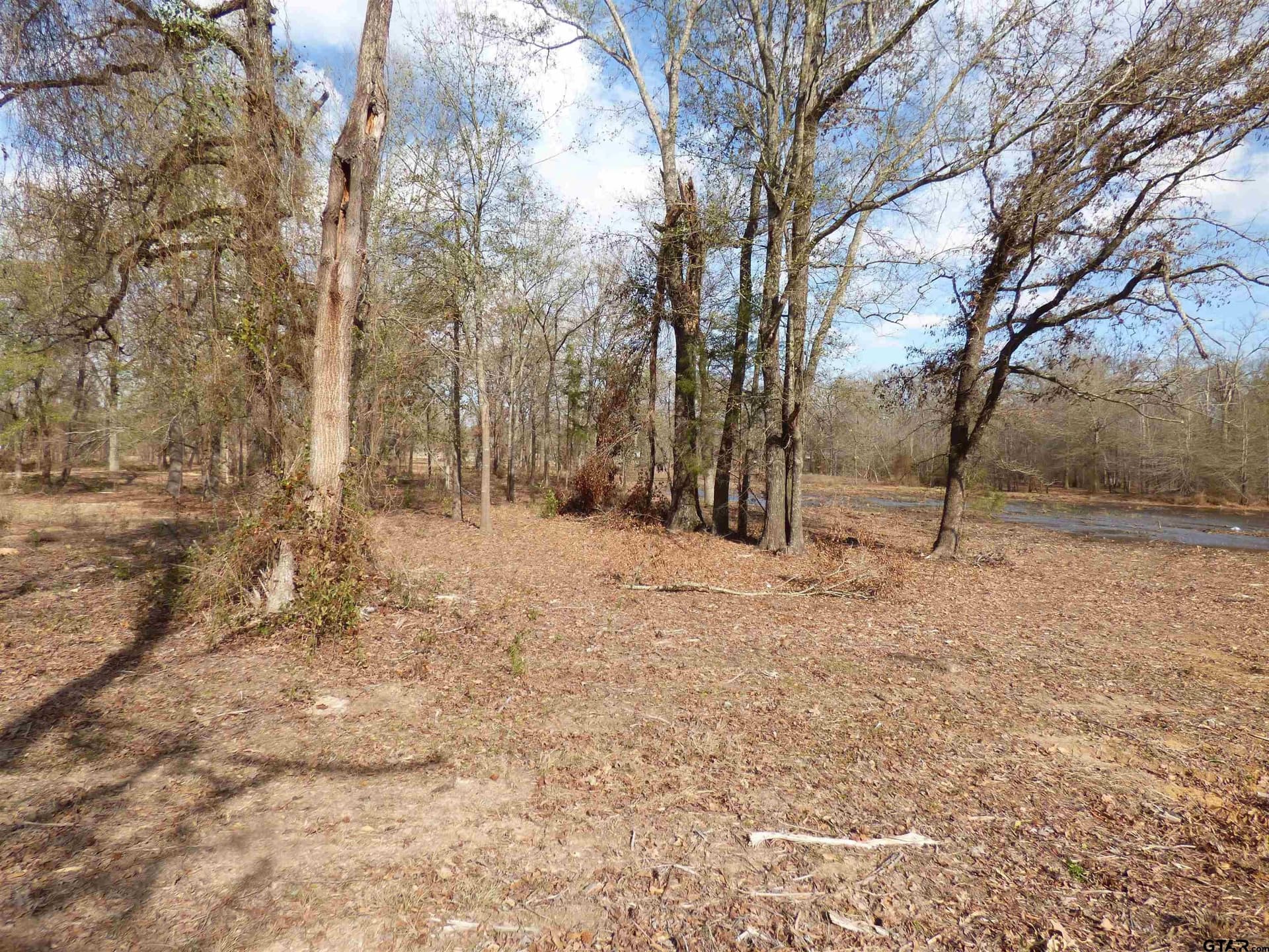 7.48 acres in Titus County - photo 15