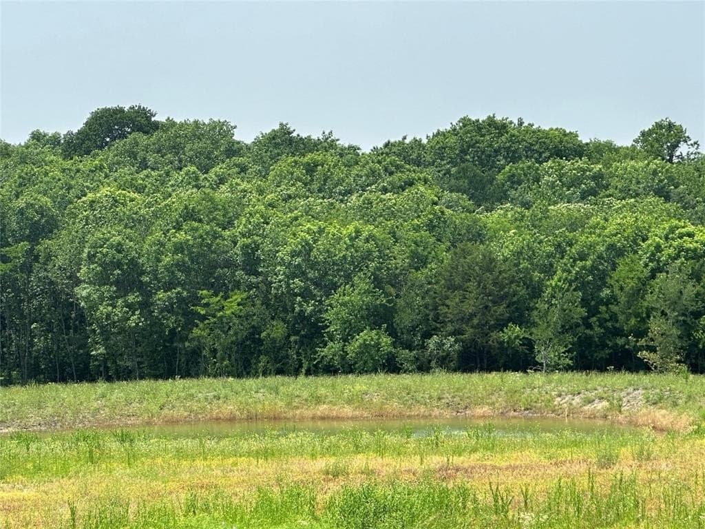 7.06 acres in Collin County - photo 4