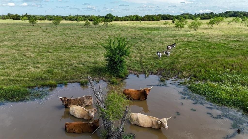 11.75 acres in Cooke County - photo 3