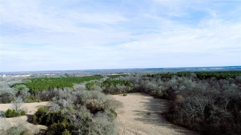 100.06 acres in Van Zandt County - photo 6