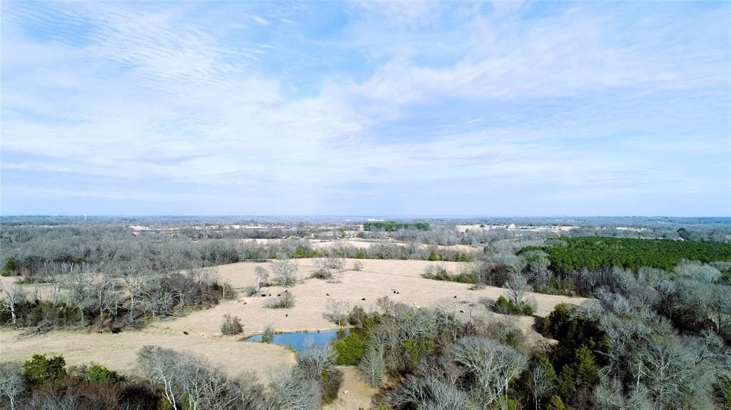 100.06 acres in Van Zandt County - photo 5