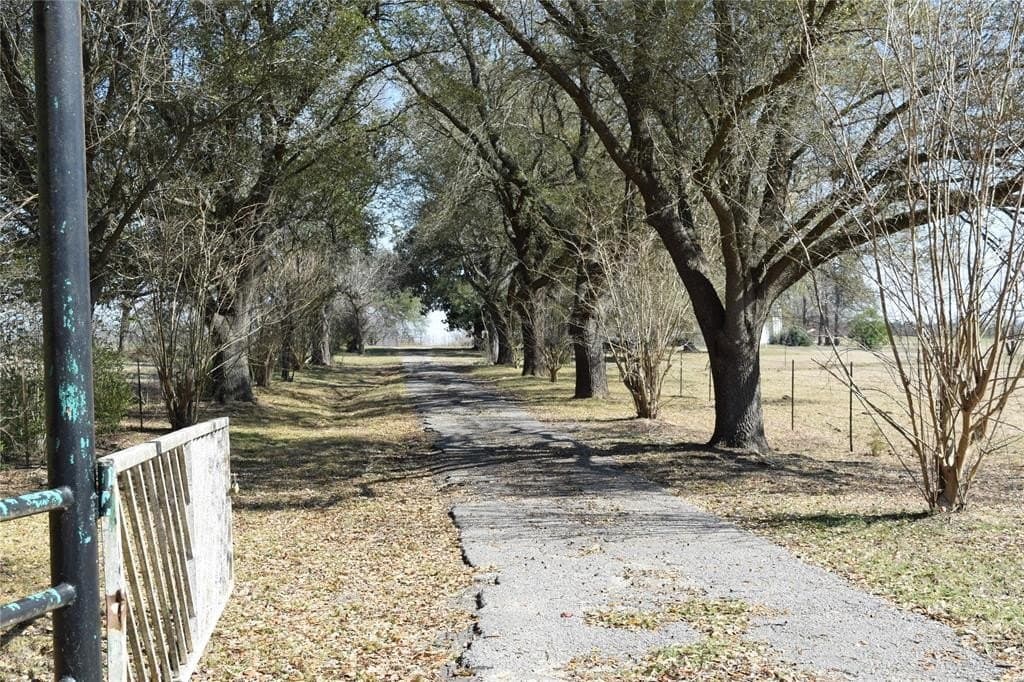 100.06 acres in Van Zandt County - photo 22