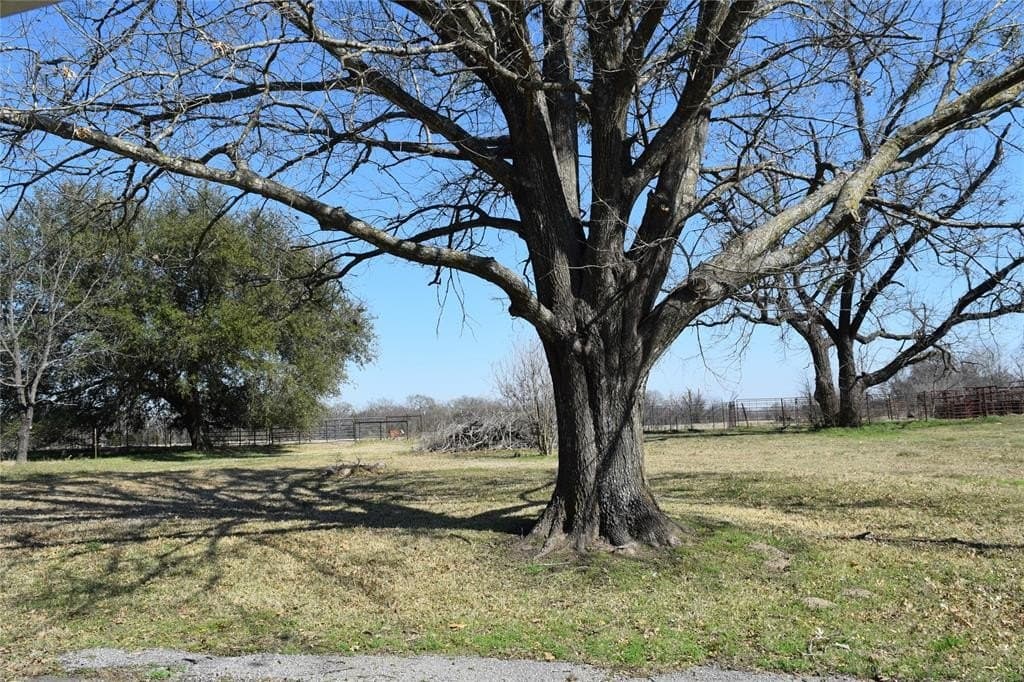 100.06 acres in Van Zandt County - photo 20
