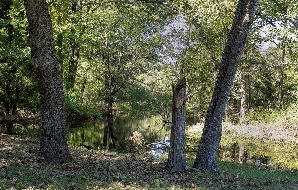 24.99 acres in Kaufman County - photo 38