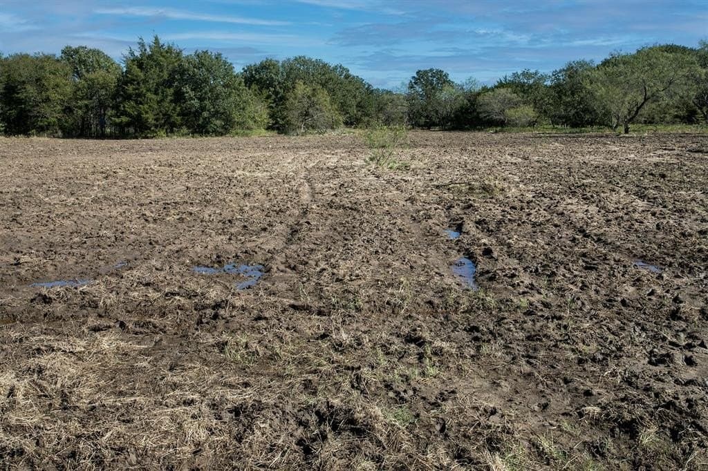 24.99 acres in Kaufman County - photo 35