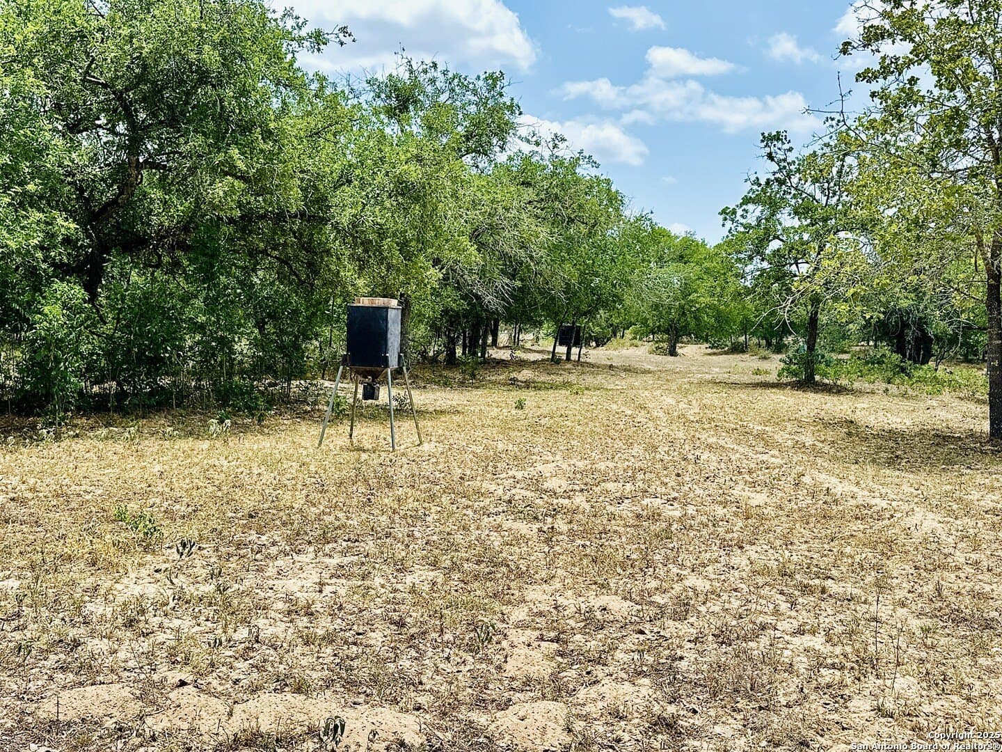 0 acres in Wilson County - photo 47