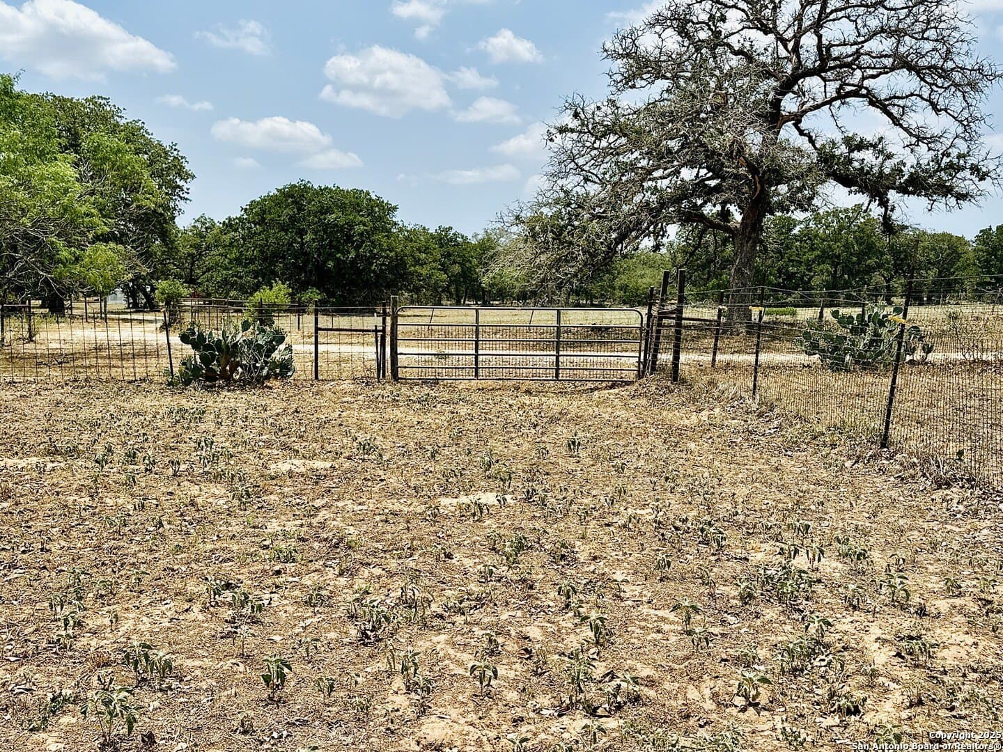 0 acres in Wilson County - photo 51