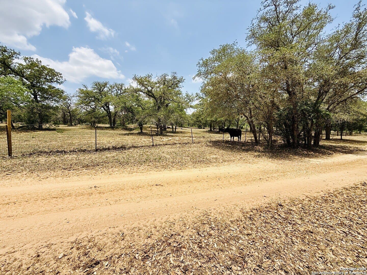 0 acres in Wilson County - photo 49