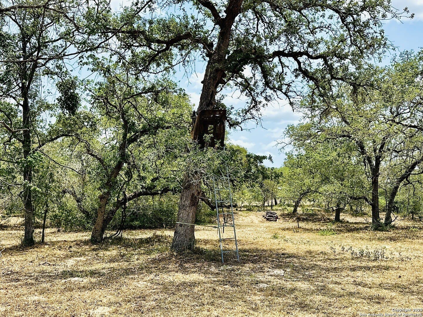 0 acres in Wilson County - photo 48