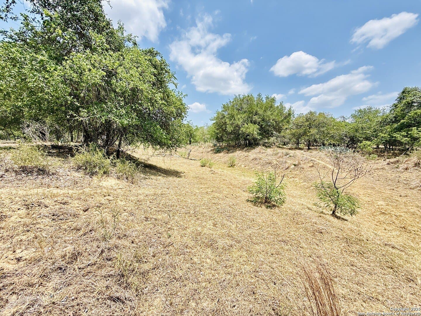 0 acres in Wilson County - photo 50