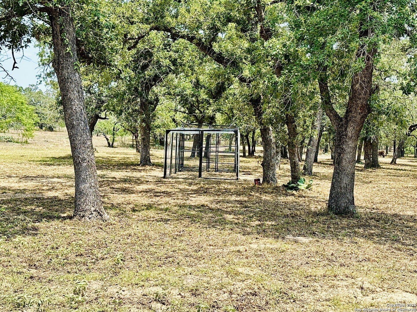0 acres in Wilson County - photo 55