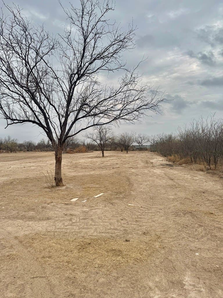 20,000 acres in Maverick County - photo 11