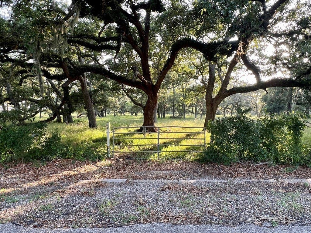 56.76 acres in Texas County - photo 2