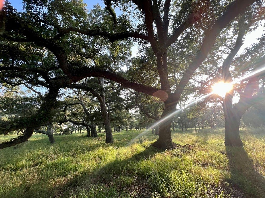 56.76 acres in Texas County - photo 4