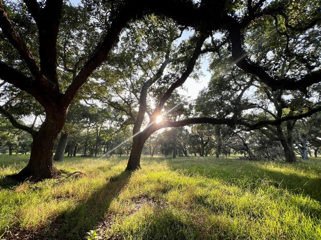 56.76 acres in Texas County - photo 3