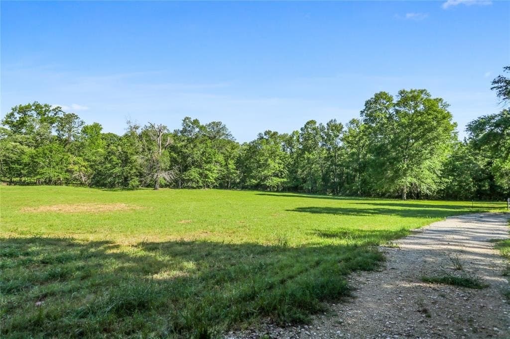 12.5 acres in Anderson County - photo 17