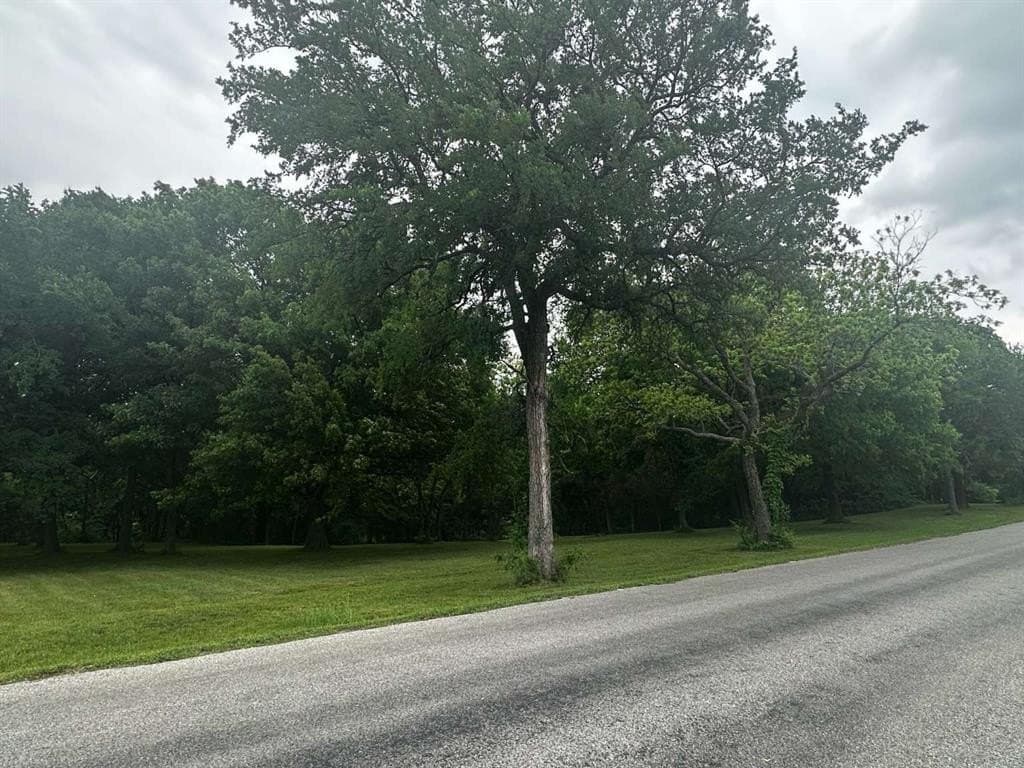 1.19 acres in Grayson County - photo 5
