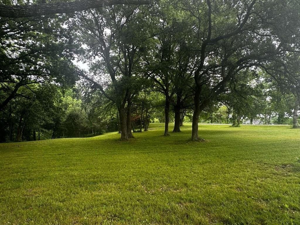 1.19 acres in Grayson County - photo 2