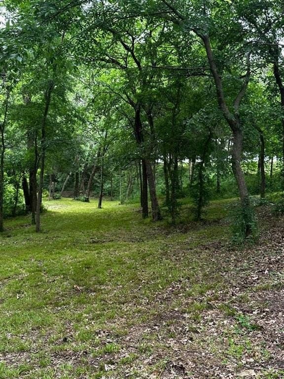 1.19 acres in Grayson County - photo 8