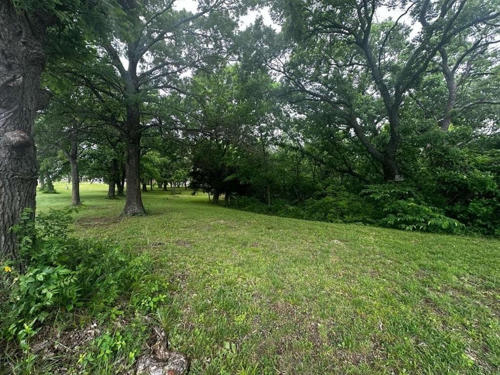 1.19 acres in Grayson County - photo 6