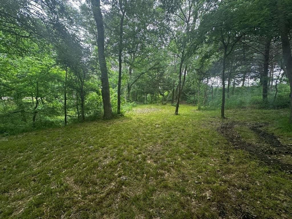 1.19 acres in Grayson County - photo 9