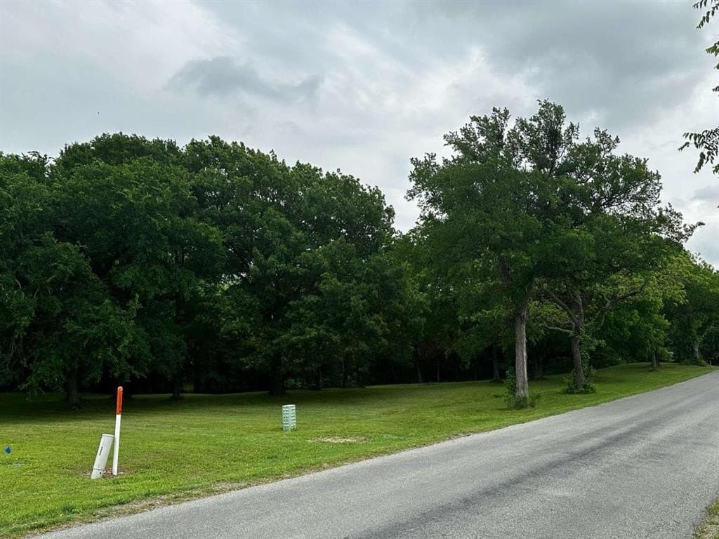 1.19 acres in Grayson County - photo 4