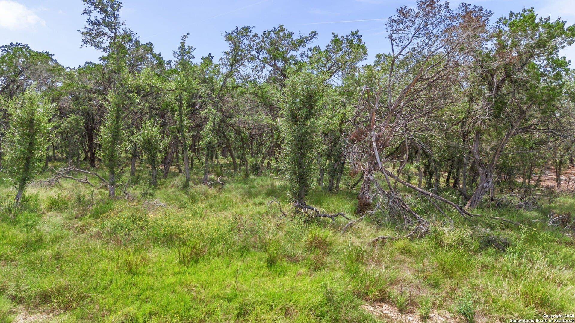 1.01 acres in Comal County - photo 6