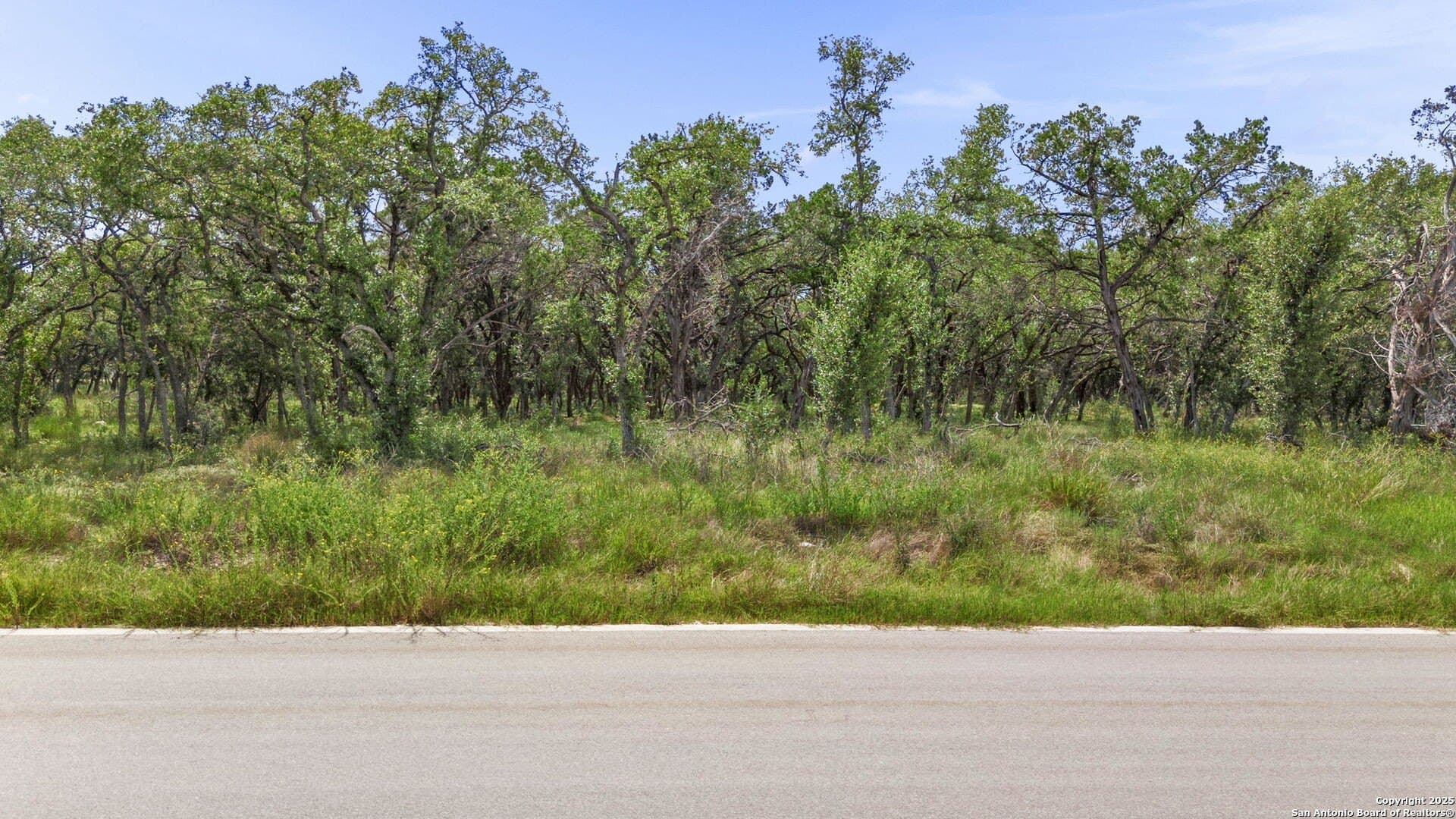 1.01 acres in Comal County - photo 4