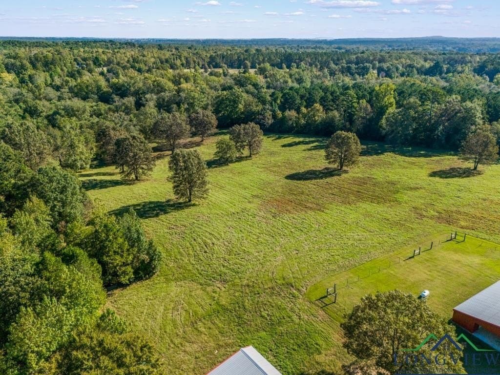 20 acres in Upshur County - photo 31