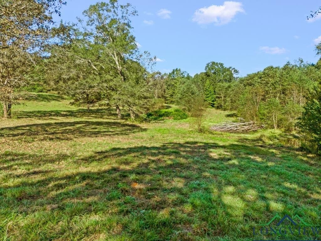 20 acres in Upshur County - photo 39
