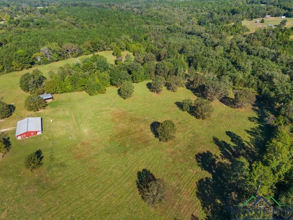 20 acres in Upshur County - photo 33