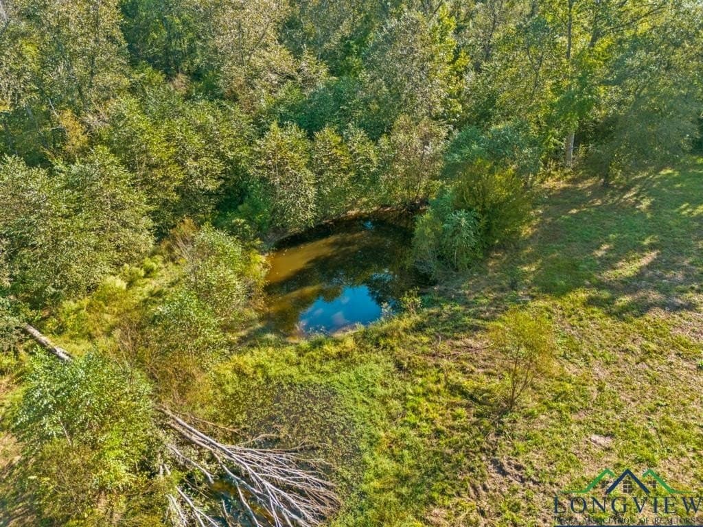 20 acres in Upshur County - photo 38