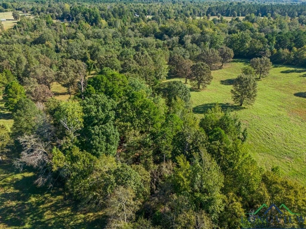 20 acres in Upshur County - photo 42