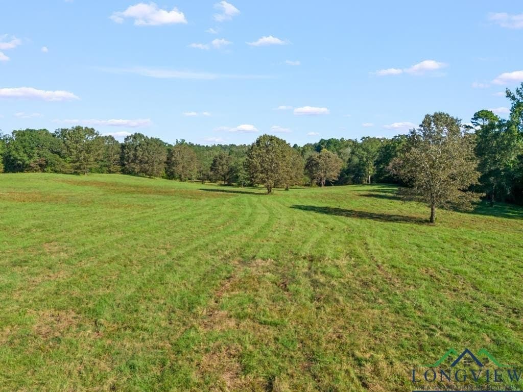 20 acres in Upshur County - photo 37