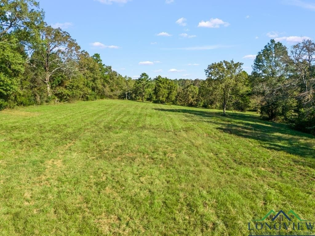 20 acres in Upshur County - photo 41