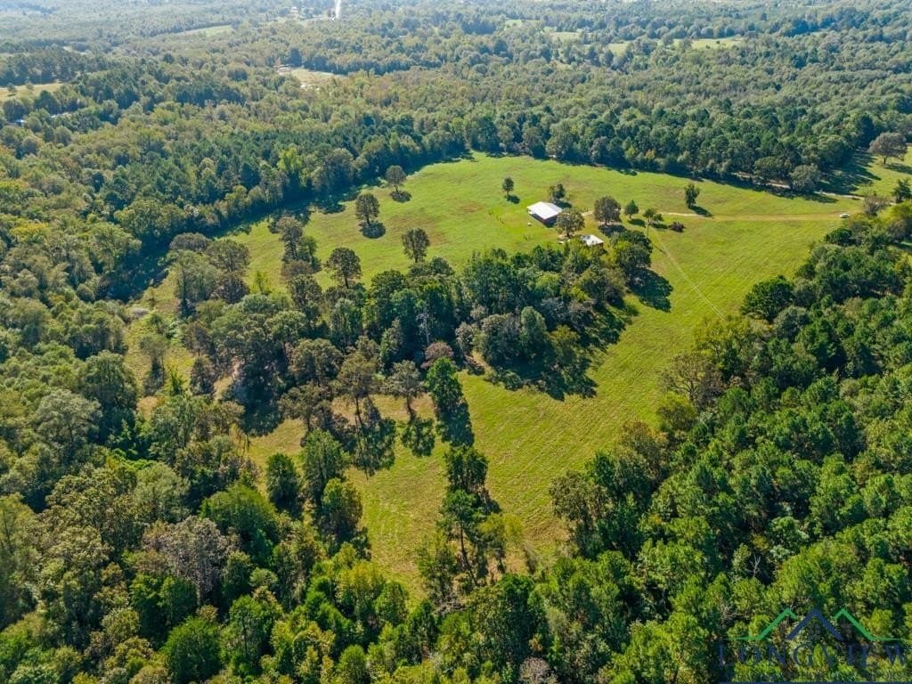 20 acres in Upshur County - photo 32