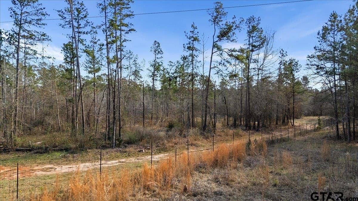 81.08 acres in Cherokee County - photo 9