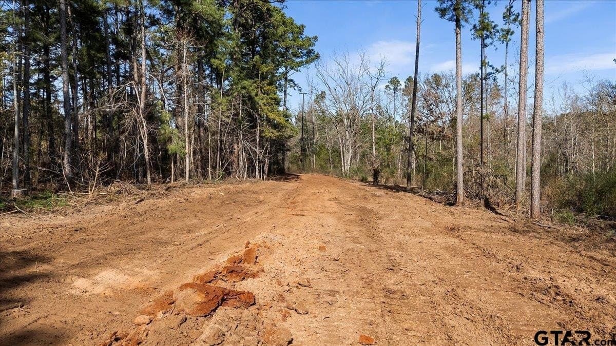 81.08 acres in Cherokee County - photo 4