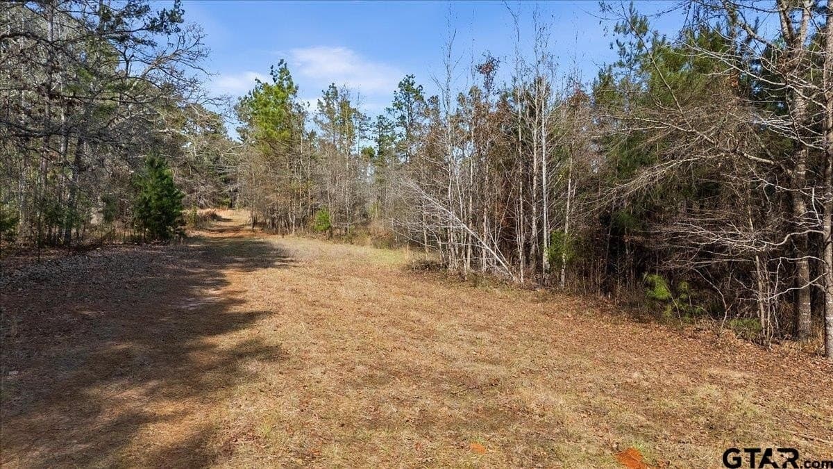 81.08 acres in Cherokee County - photo 2