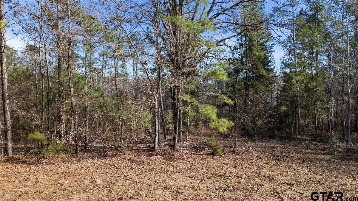 81.08 acres in Cherokee County - photo 5