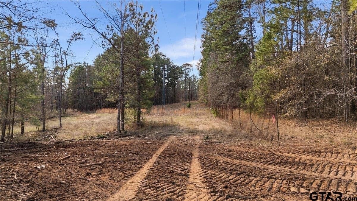 81.08 acres in Cherokee County - photo 8