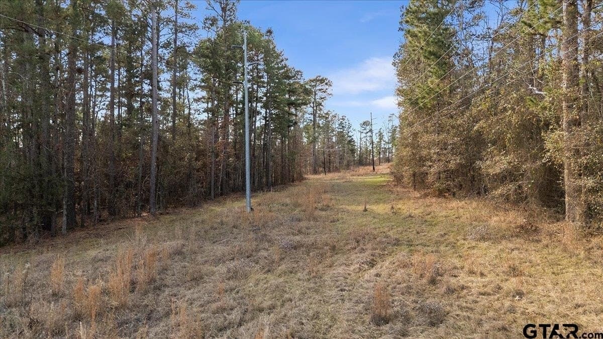 81.08 acres in Cherokee County - photo 6