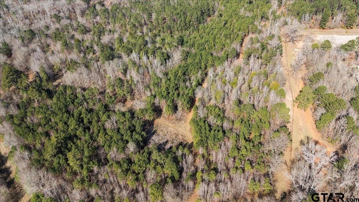 81.08 acres in Cherokee County - photo 15