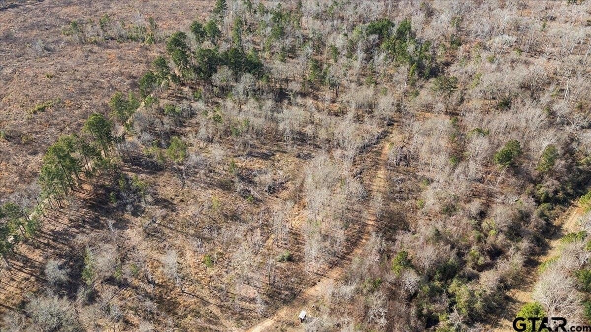 81.08 acres in Cherokee County - photo 16