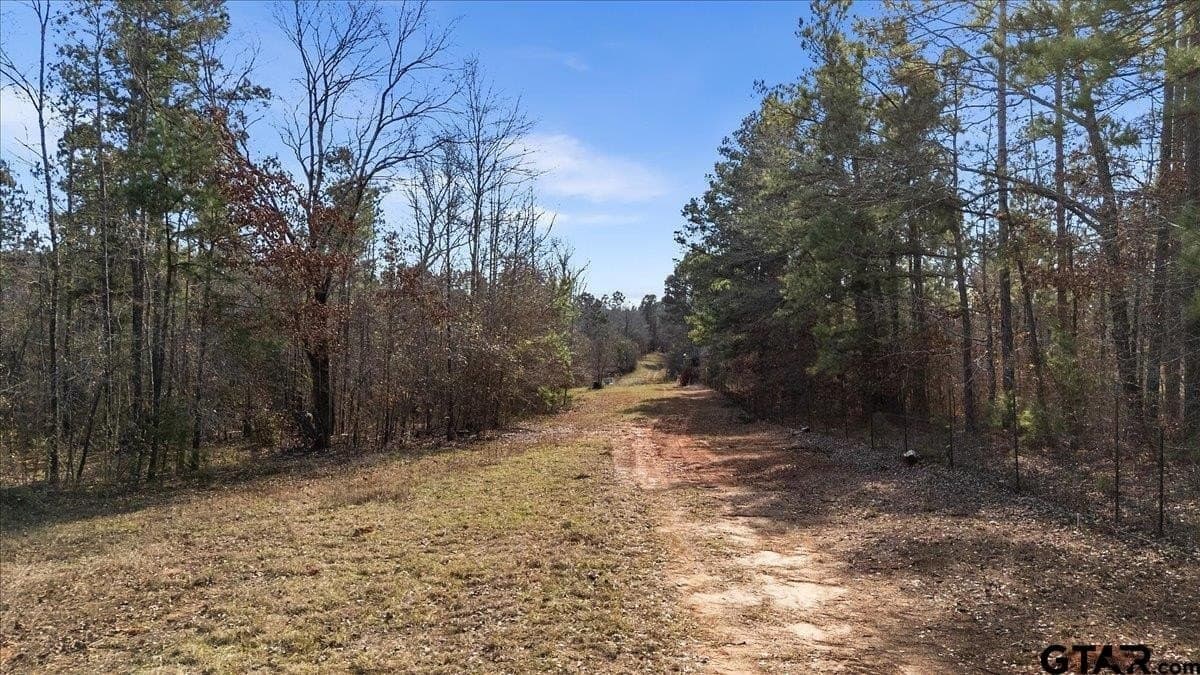 81.08 acres in Cherokee County - photo 3