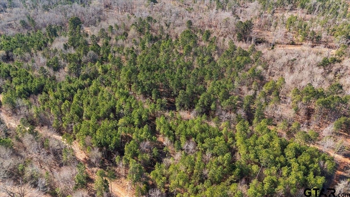 81.08 acres in Cherokee County - photo 18