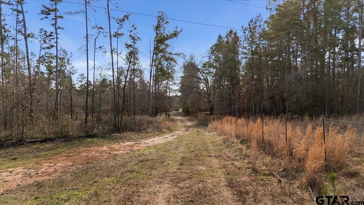 81.08 acres in Cherokee County - photo 7