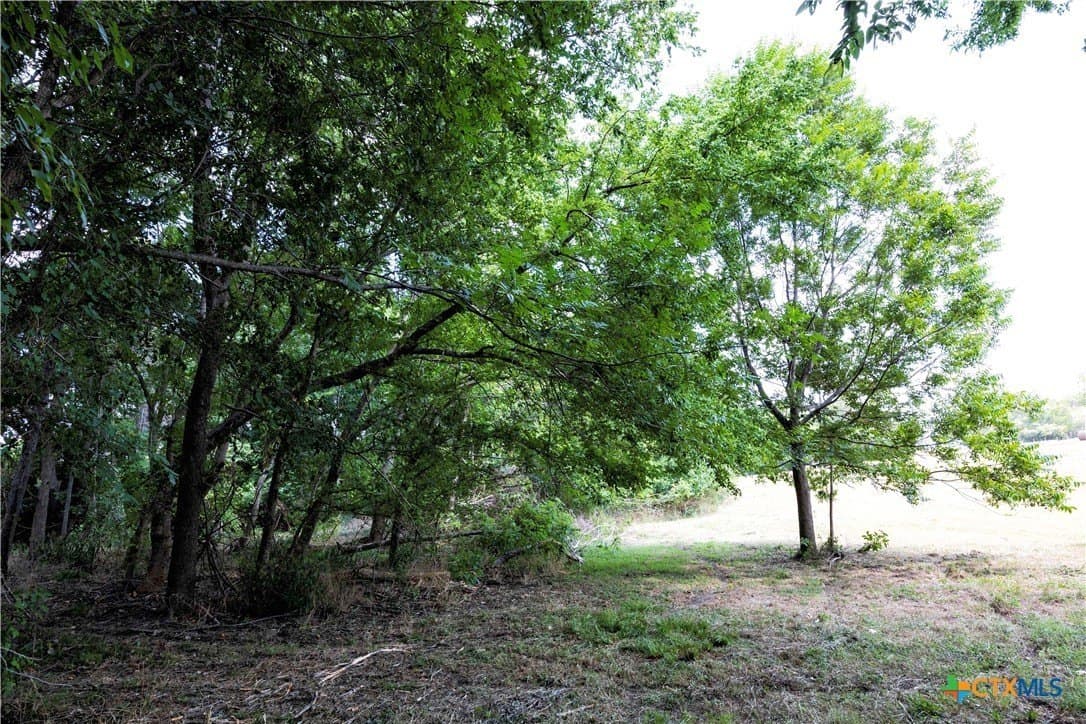 20.3 acres in Lavaca County - photo 8