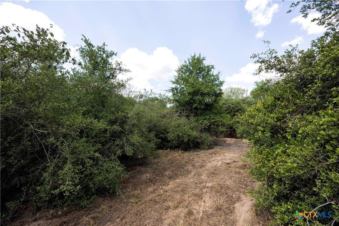 20.3 acres in Lavaca County - photo 19