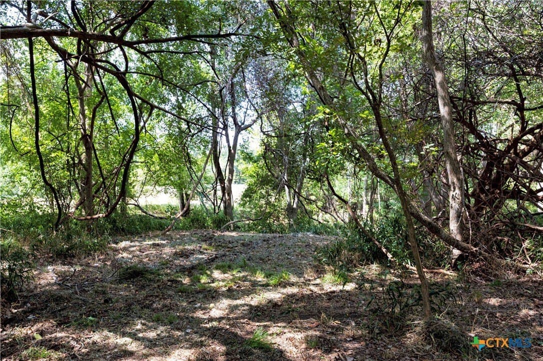 20.3 acres in Lavaca County - photo 4